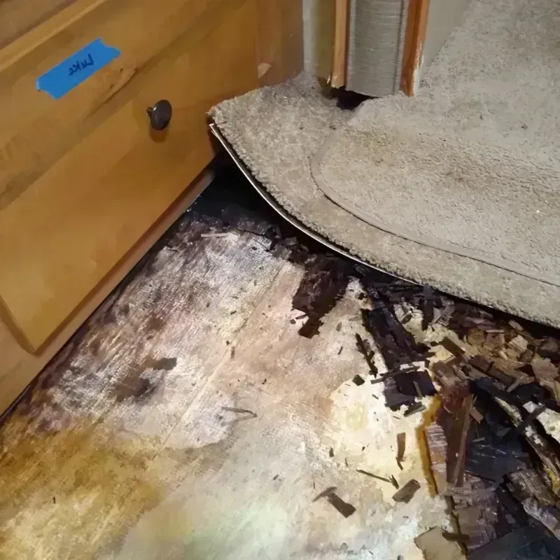 Wood Floor Water Damage in Port Saint Lucie, FL